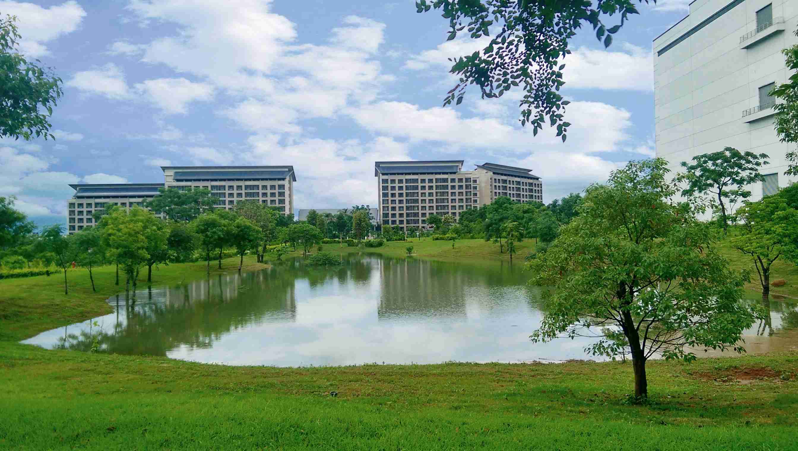 Wepay响应国际倡议生物多样性趋势，，，首次发布TNFD自然相关财务揭露报告书，，擘划及开展Wepay生物多样性政策之承诺，，，，逐步迈向与自然和谐共生